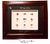 Mayfly frame